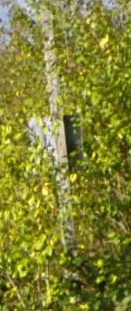 Le panneau au milieu de la végétation:inline