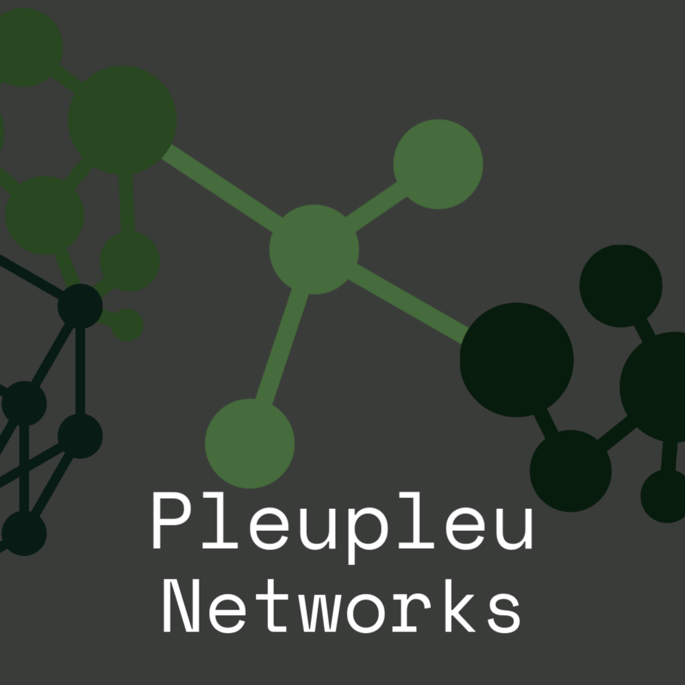Logo de pleupleuNetworks